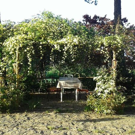 B&B Della Rosa Civitella D'Arna Kültér fotó