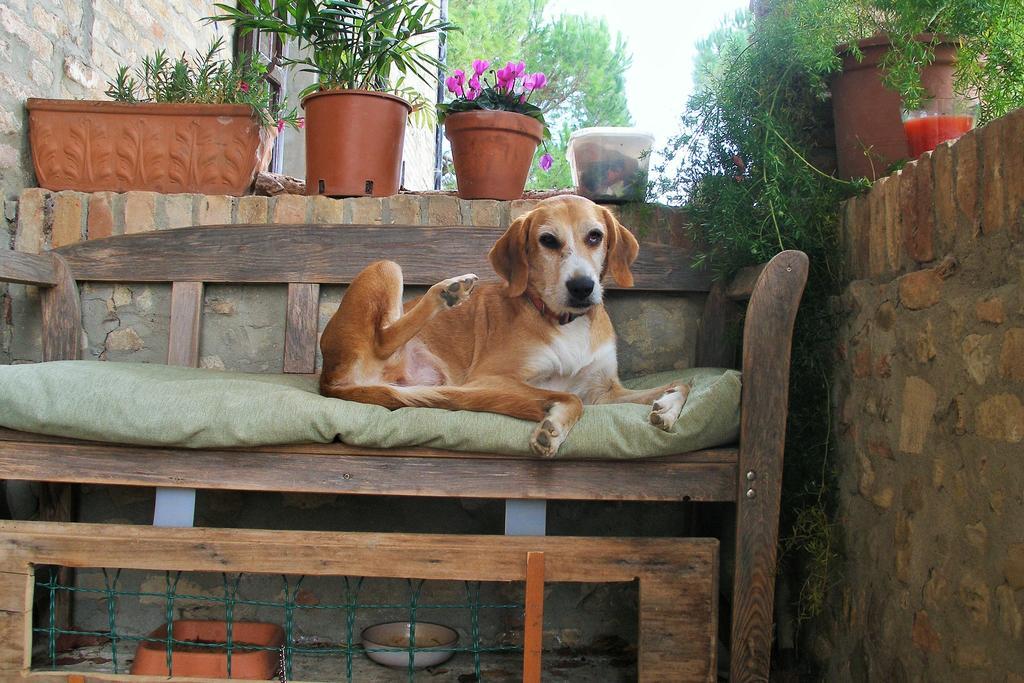 B&B Della Rosa Civitella D'Arna Kültér fotó
