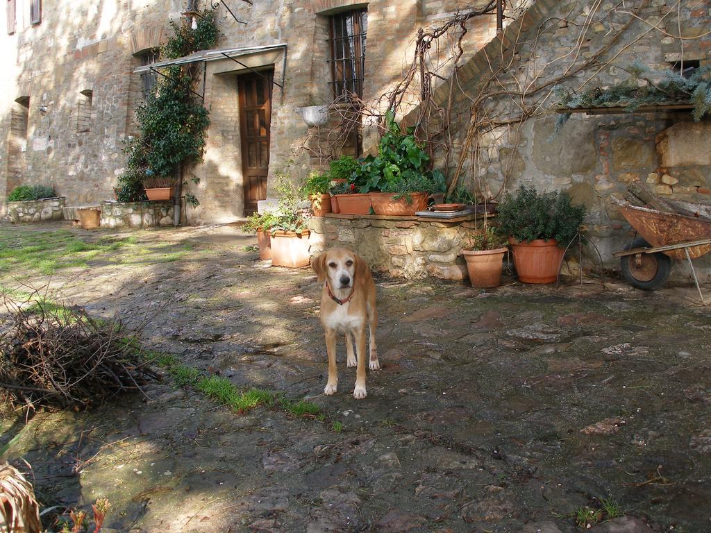B&B Della Rosa Civitella D'Arna Kültér fotó