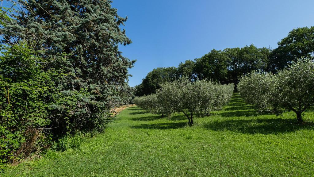 B&B Della Rosa Civitella D'Arna Kültér fotó